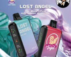 Lost Angel 20000 Puffs