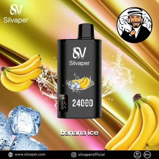 Silvaper 24000 Puffs Disposable