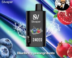 Silvaper 24000 Puffs Disposable