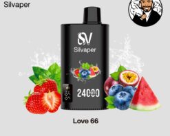 Silvaper 24000 Puffs Disposable