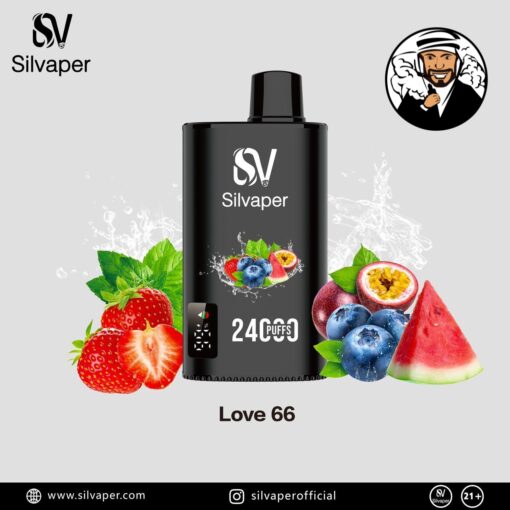 Silvaper 24000 Puffs Disposable