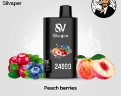 Silvaper 24000 Puffs Disposable