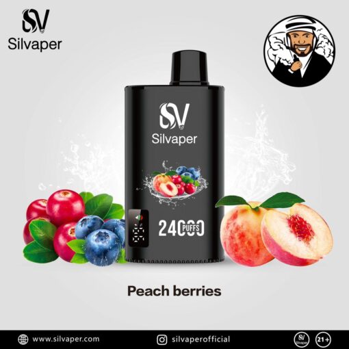 Silvaper 24000 Puffs Disposable