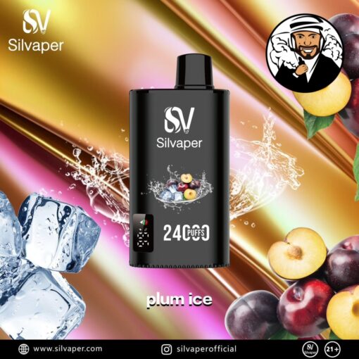 Silvaper 24000 Puffs Disposable