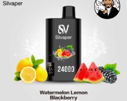 Silvaper 24000 Puffs Disposable