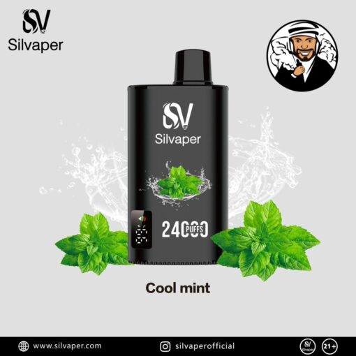 Silvaper 24000 Puffs Disposable