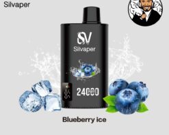 Silvaper 24000 Puffs Disposable