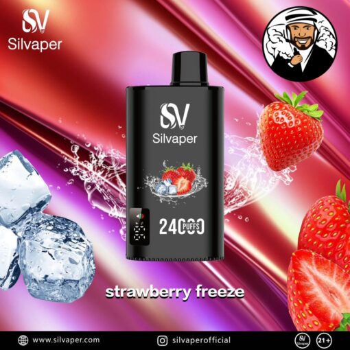 Silvaper 24000 Puffs Disposable