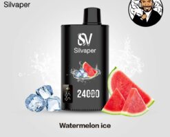 Silvaper 24000 Puffs Disposable