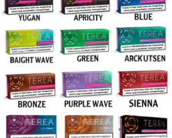 Heets Terea Sticks